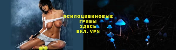 соль ск Алексин